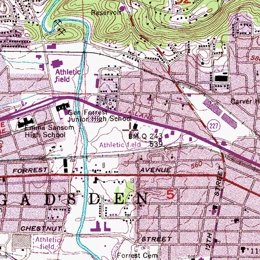 Topographic Map of Central Recreation Area, AL