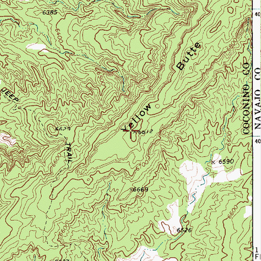 Topographic Map of Yellow Butte, AZ