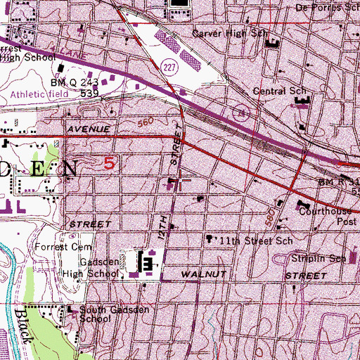 Topographic Map of Eleventh Street Public School (historical), AL