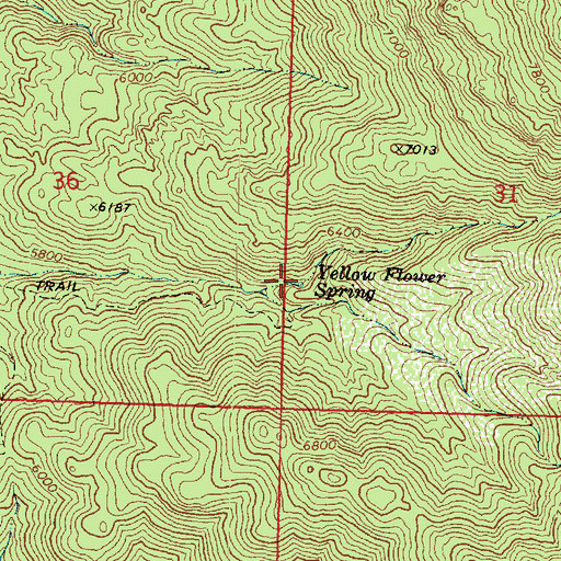 Topographic Map of Yellow Flower Spring, AZ
