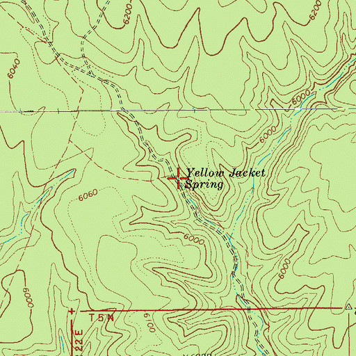 Topographic Map of Yellow Jacket Spring, AZ