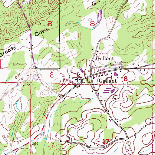 Topographic Map of Gallant Elementary School, AL
