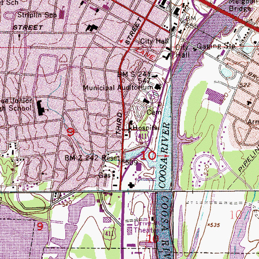 Topographic Map of Riverview Regional Medical Center, AL