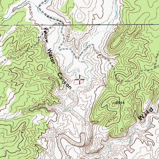 Topographic Map of Yellow Water Canyon, AZ
