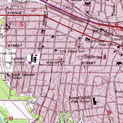 Topographic Map of Walnut Street Hospital (historical), AL