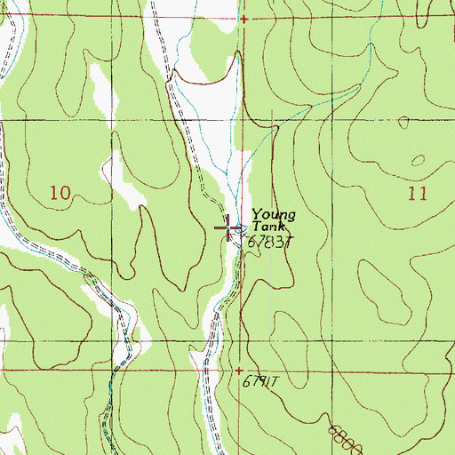 Topographic Map of Young Tank, AZ