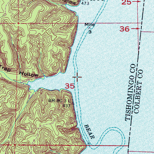 Topographic Map of Spring Branch, MS
