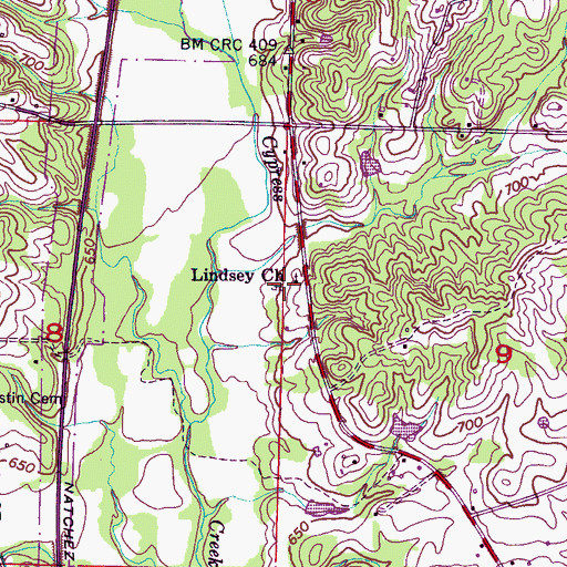 Topographic Map of Lindsey Cemetery, AL