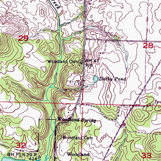 Topographic Map of Woodland School (historical), AL