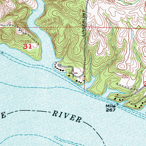 Topographic Map of Lingerlost, AL