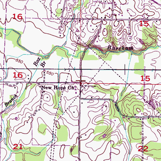 Topographic Map of New Hope, AL