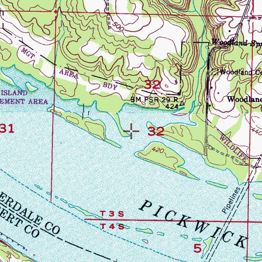Topographic Map of Walker Slough, AL