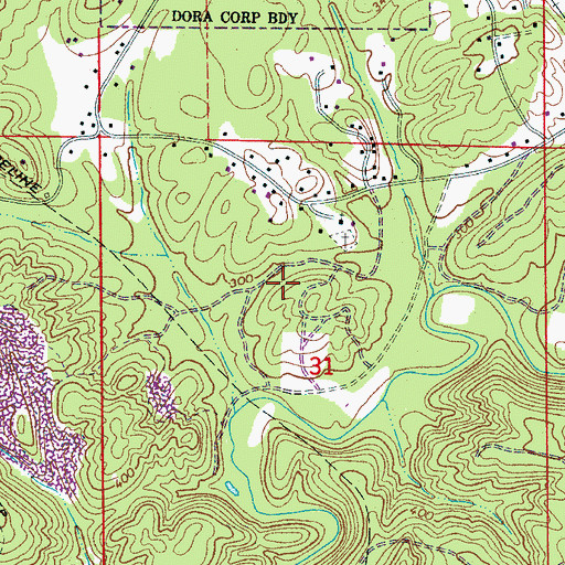 Topographic Map of Burnwell Mines, AL