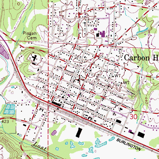 Topographic Map of Carbon Hill Grammar School (historical), AL