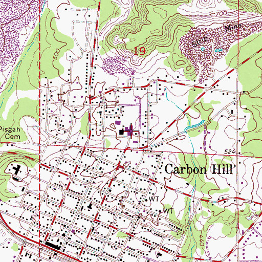 Topographic Map of Carbon Hill Junior High School, AL