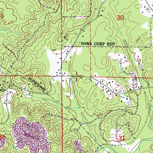Topographic Map of Faith Church, AL