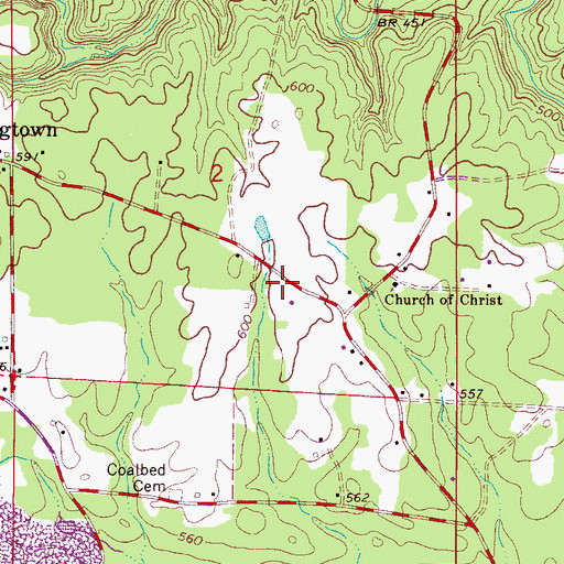 Topographic Map of Jagger Mines, AL