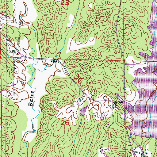 Topographic Map of Jasper Speedway, AL
