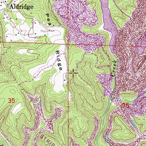 Topographic Map of Leonard Cemetery, AL