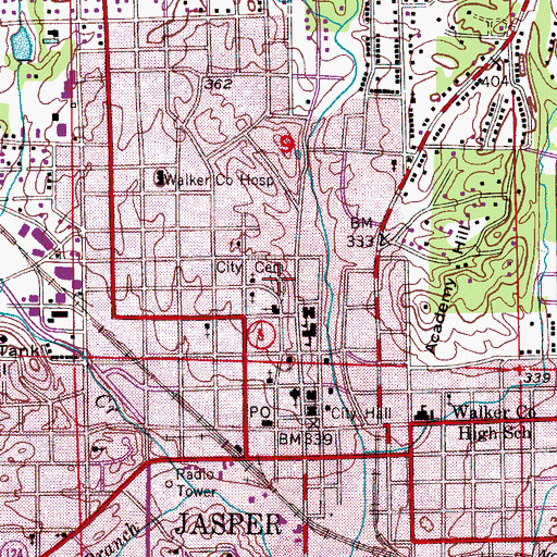 Topographic Map of Old City Cemetery, AL