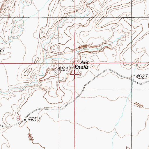 Topographic Map of Ant Knolls, UT