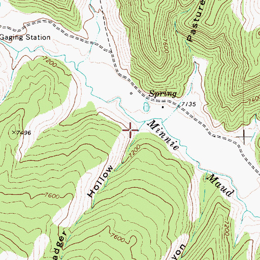 Topographic Map of Badger Canyon, UT