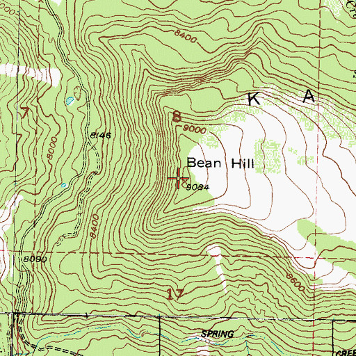 Topographic Map of Bean Hill, UT