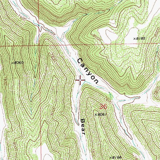 Topographic Map of Bear Canyon, UT