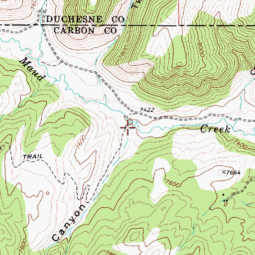 Topographic Map of Bear Canyon, UT
