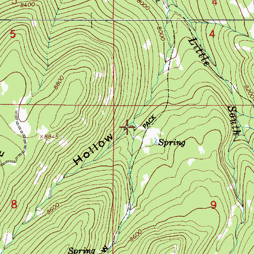 Topographic Map of Bear Hollow, UT