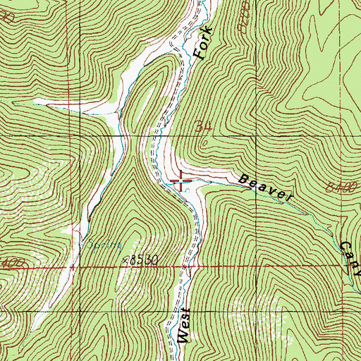 Topographic Map of Beaver Canyon, UT