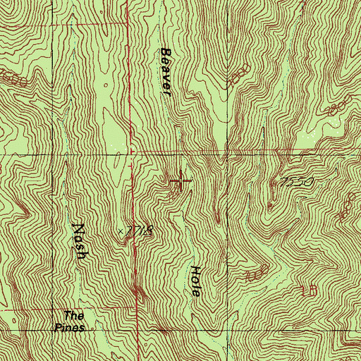 Topographic Map of Beaver Hole, UT