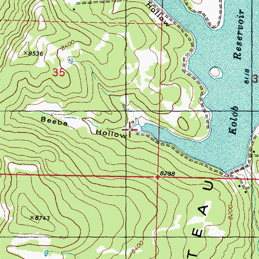 Topographic Map of Beebe Hollow, UT