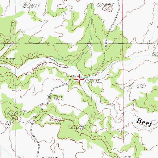 Topographic Map of Beef Basin Wash, UT