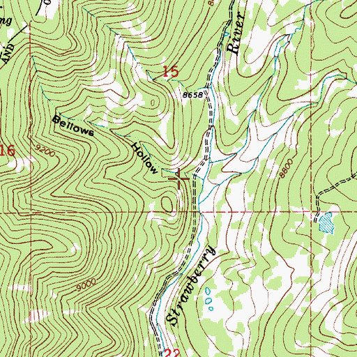 Topographic Map of Bellows Hollow, UT