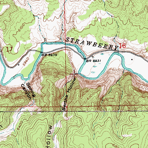 Topographic Map of Bertha Hollow, UT