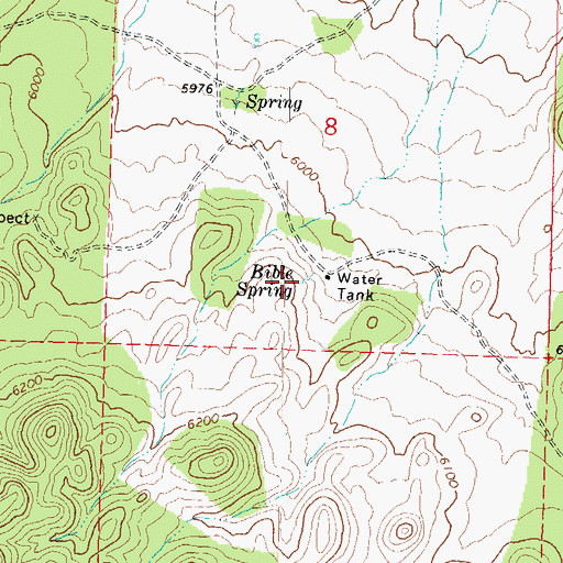 Topographic Map of Bible Spring, UT