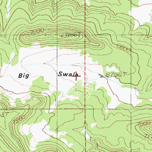 Topographic Map of Big Swale, UT