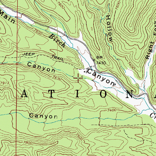 Topographic Map of Birch Canyon, UT