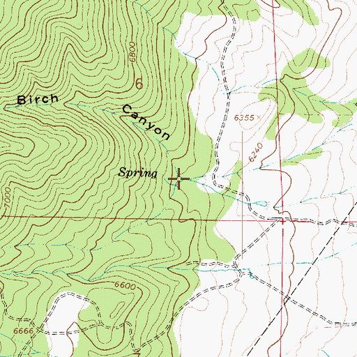 Topographic Map of Birch Canyon, UT