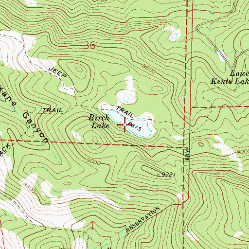 Topographic Map of Birch Lake, UT