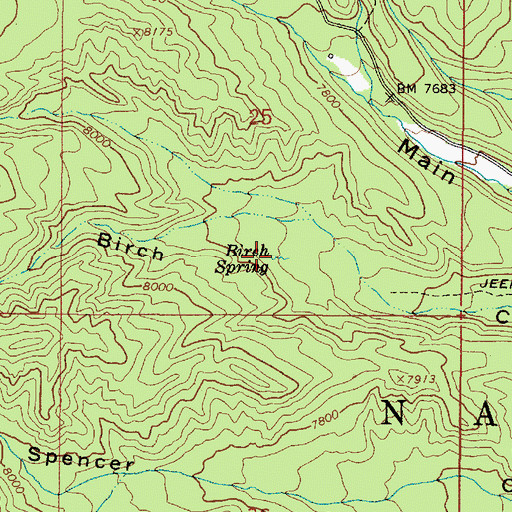 Topographic Map of Birch Spring, UT