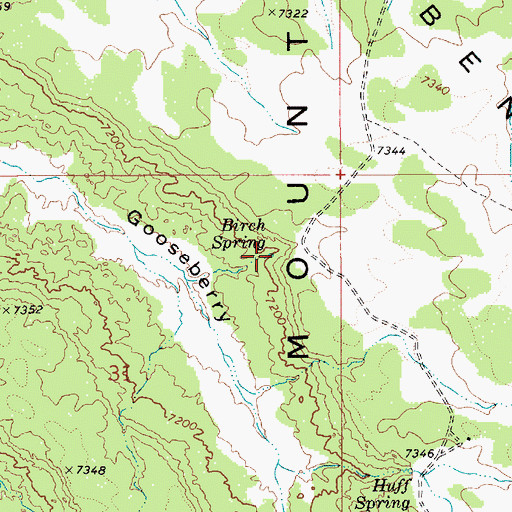 Topographic Map of Birch Spring, UT