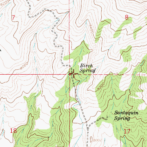Topographic Map of Birch Spring, UT
