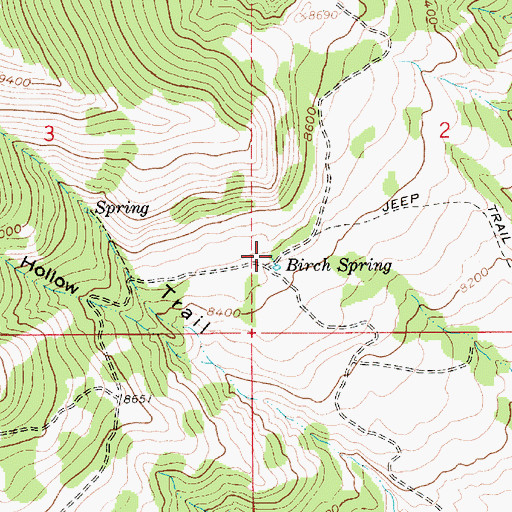 Topographic Map of Birch Spring, UT