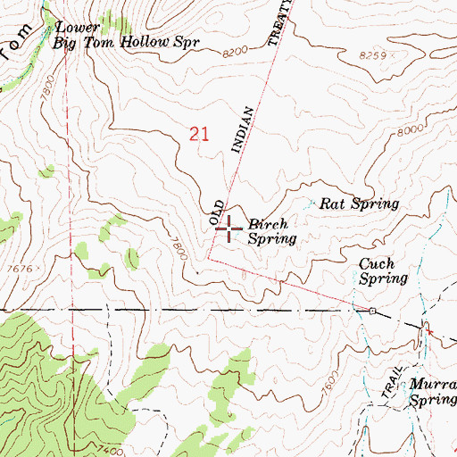 Topographic Map of Birch Spring, UT