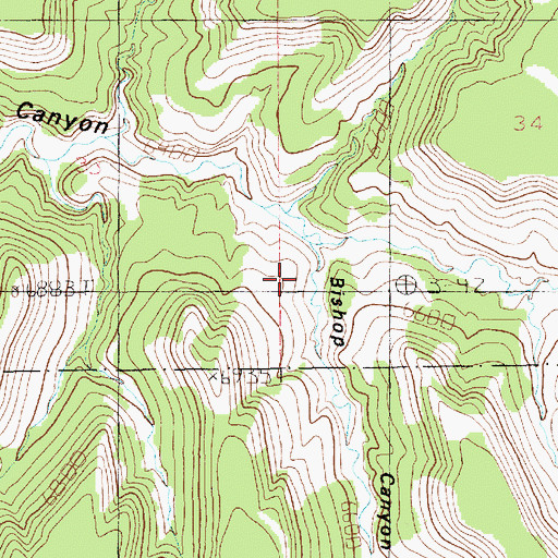 Topographic Map of Bishop Canyon, UT