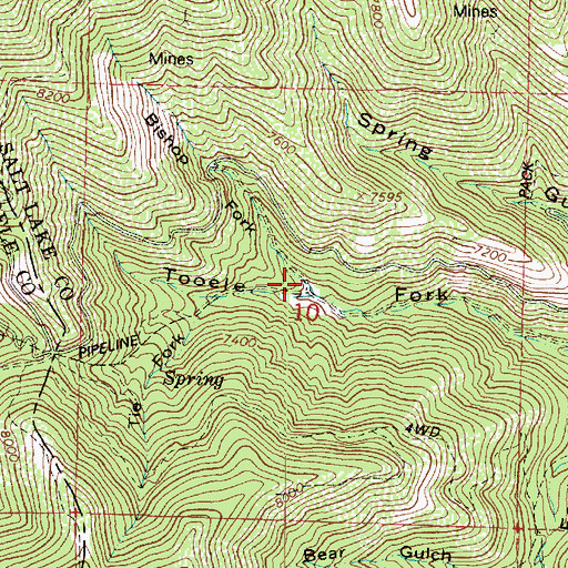 Topographic Map of Bishop Fork, UT