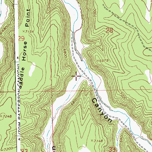 Topographic Map of Black Horse Canyon, UT