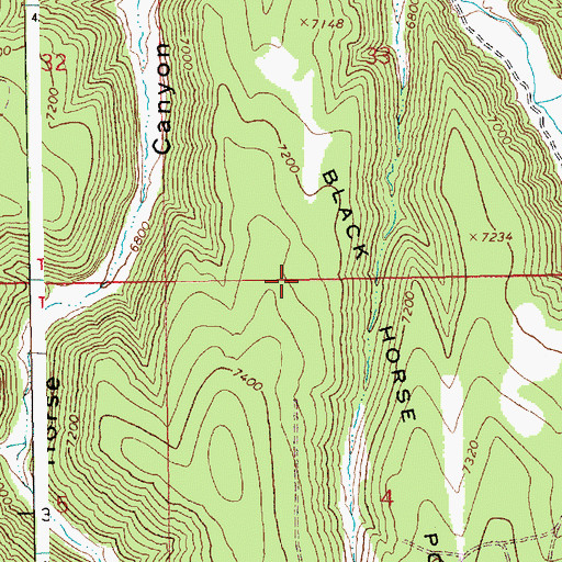 Topographic Map of Black Horse Point, UT